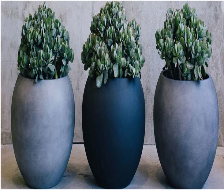 Designer Garden Pots