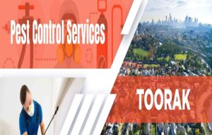 Benefits of Hiring Pest Control Company in Toorak