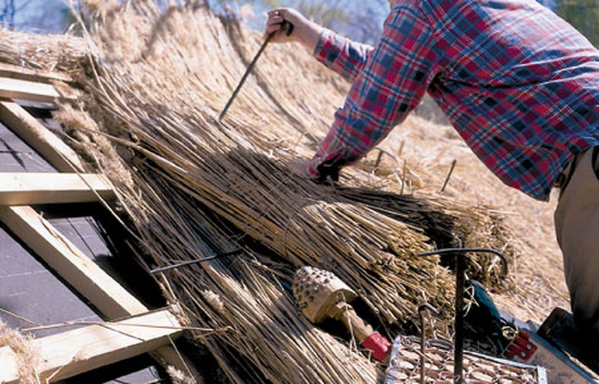 Why is Stainless Steel Nails a Better Choice for Cedar Roofing