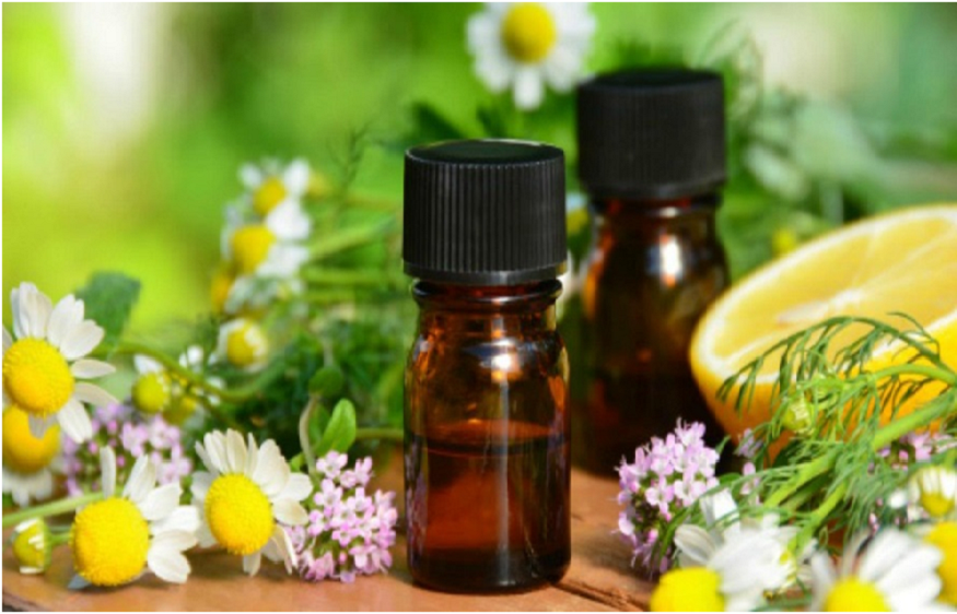 Top 7 Essential Oils to Solve Every Hair-related Problem Naturally