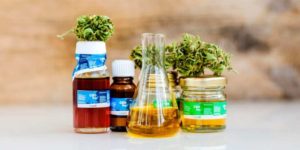 Does the best CBD Oil Work Study suggestions?