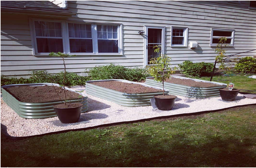 diy raised garden beds corrugated iron